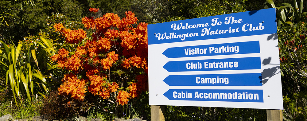 Open Day: Sunday, 2nd of November, 11am - 3pm